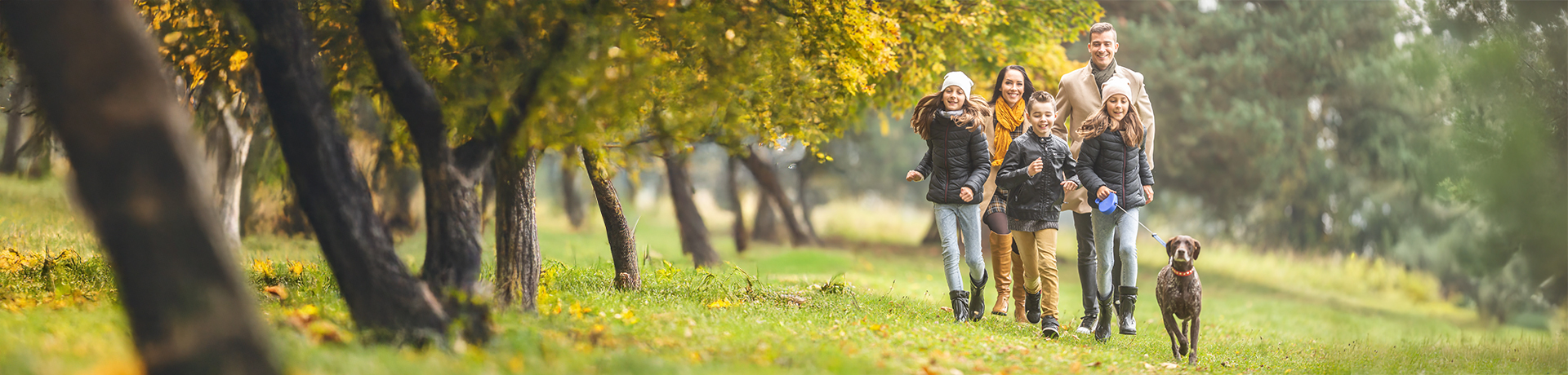 IMAGEM-DO-ARTIGO (1) (1) (1)