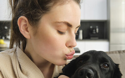 Seguro para Animais Domésticos: proteger quem faz parte da família