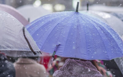 Tempestades em Portugal: o que pode fazer agora em relação ao seu seguro