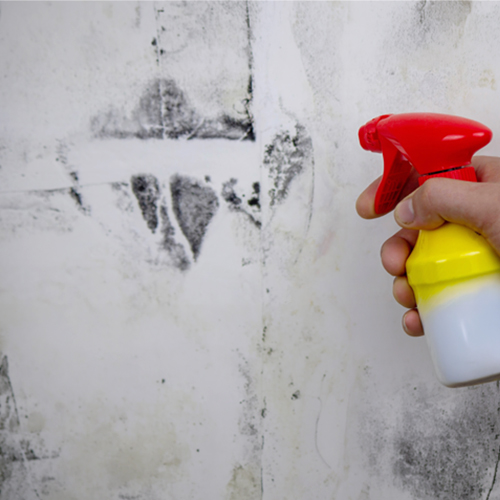 Um dano ao vizinho pode sair caro: quando a responsabilidade civil faz a diferença